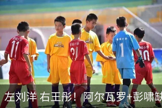 左刘洋 右王彤！阿尔瓦罗+彭啸缺阵，河南真核有伤，拉莫斯拿韩鹏当出气桶