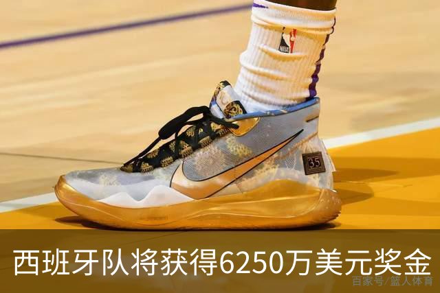 西班牙队将获得6250万美元奖金 每位球员将分得约88万美元