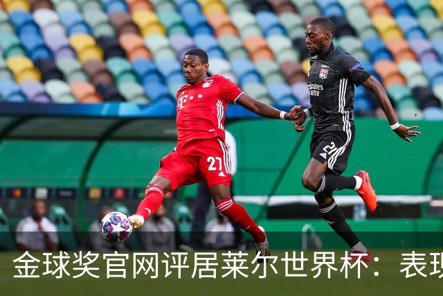 金球奖官网评居莱尔世界杯：表现足够好，可惜整体不佳